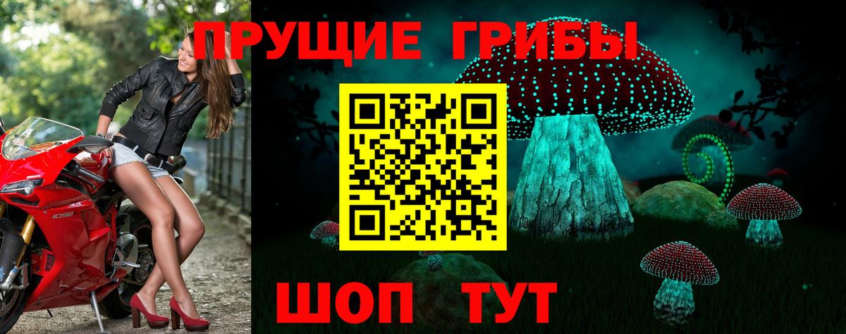 Галлюциногенные грибы Magic Shrooms Коломна